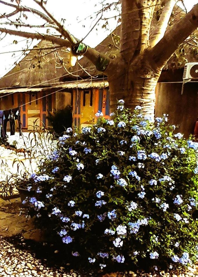 Le Chamama Hotel Niaga Ngoại thất bức ảnh